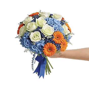 Serene Petal Harmony