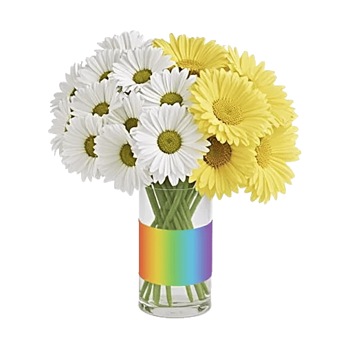 Petal Harmony Bliss