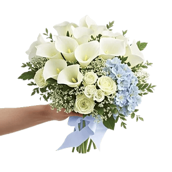 Elegant Calla Lilies