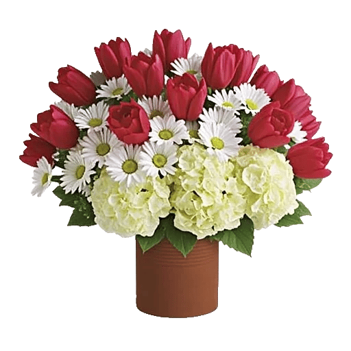 Crimson Blossom Harmony
