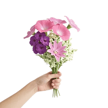 Graceful Lily Display