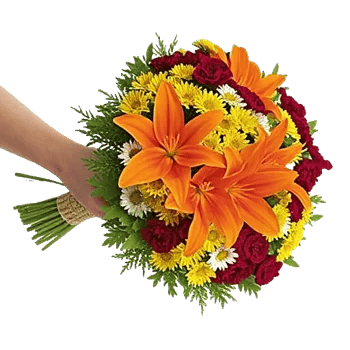 Blossom Glow Symphony