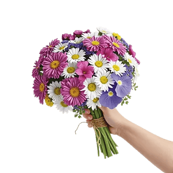 Blossom Harmony Display