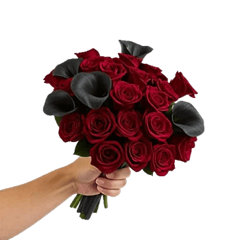 Crimson Rose Elegance