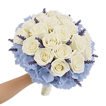 Serene Petal Harmony