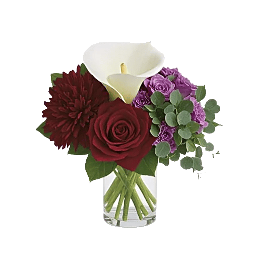 Elegant Calla Lilies