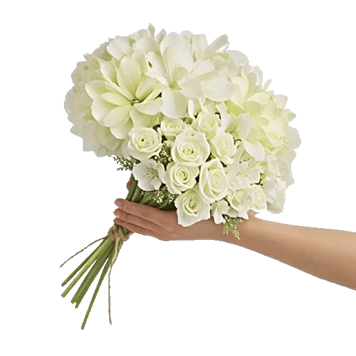 Serene Petal Harmony