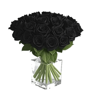 Gothic Dark Roses