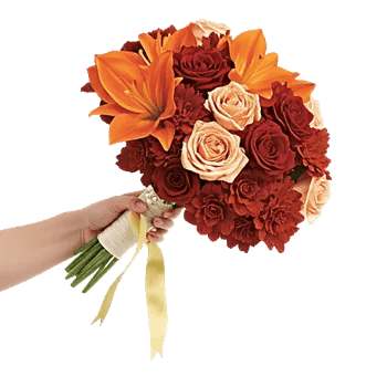 Delicate Petal Cascade