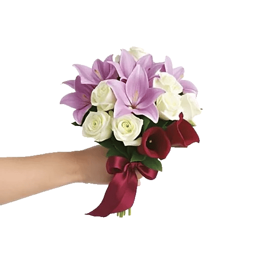 Elegant Calla Lilies