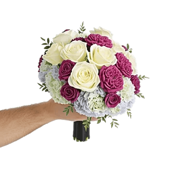 Delicate Petal Cascade