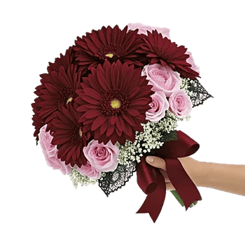Silken Petal Array