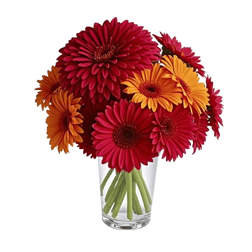 Crimson Blossom Harmony