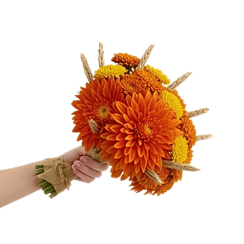 Radiant Bloom Cascade