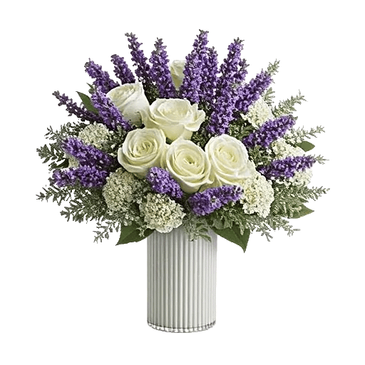 Lavender Bloom Grace