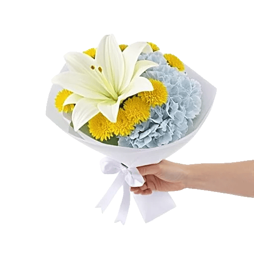 Ivory Blossom Radiance