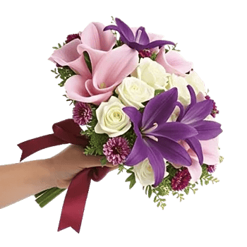 Elegant Calla Lilies