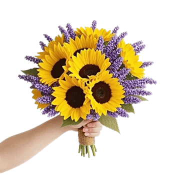 Twinkling Sunflower Dance