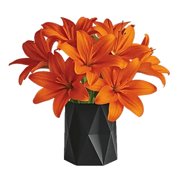 Crimson Lily Glow