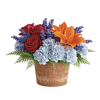 Petal Radiance Bliss