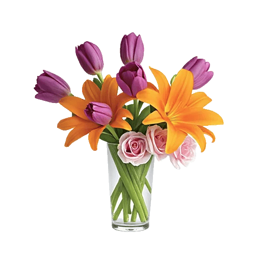 Velvet Tulip Display