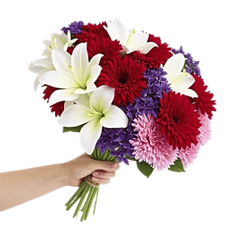 Blossom Harmony Display