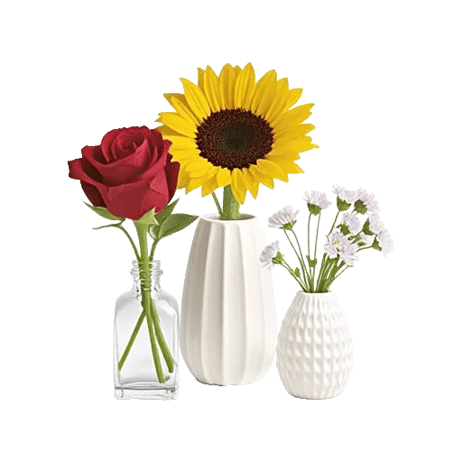 Petal Radiance Bliss