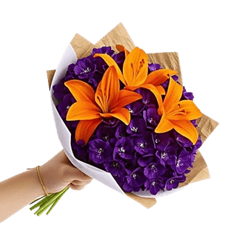 Velvet Tulip Display