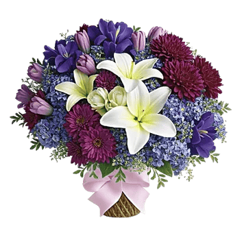 Blossom Harmony Display