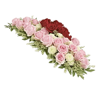 Delicate Petal Cascade