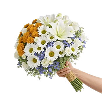 Ivory Garden Grace