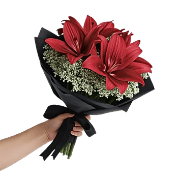 Crimson Lily Glow