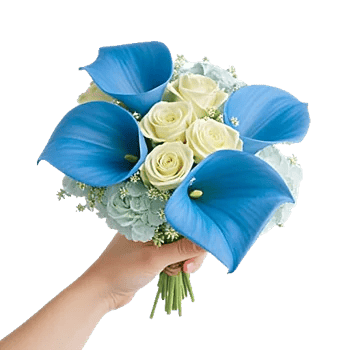 Elegant Calla Lilies