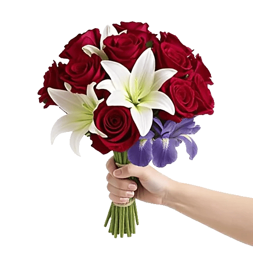 Blushing Rose Symphony