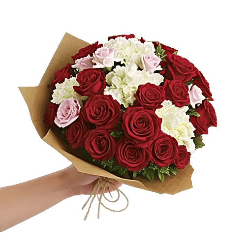 Crimson Rose Elegance