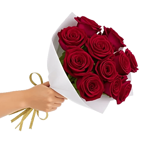 Crimson Rose Elegance