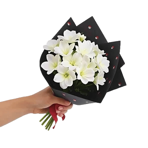 Modern White Orchids