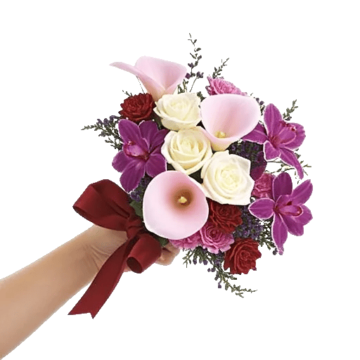 Elegant Calla Lilies