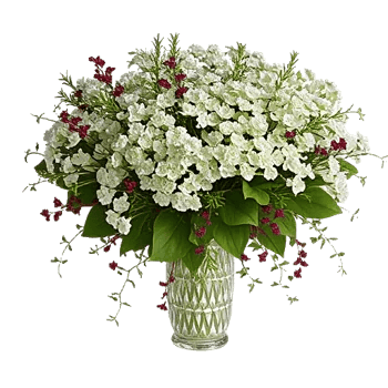 Ivory Blossom Radiance