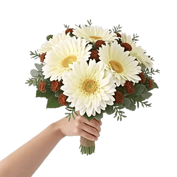 Ivory Garden Grace