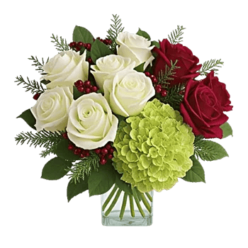 Ivory Blossom Radiance