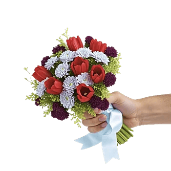 Sapphire Bloom Whisper