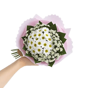 Delicate Petal Cascade