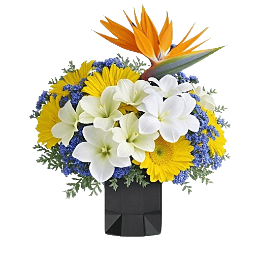 Modern White Orchids