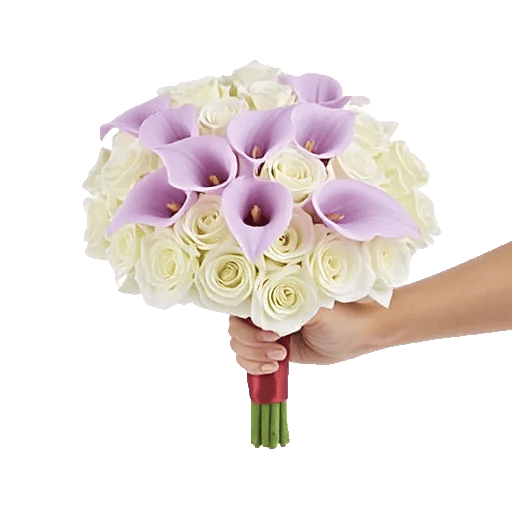 Elegant Calla Lilies