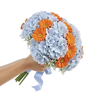 Serene Petal Harmony