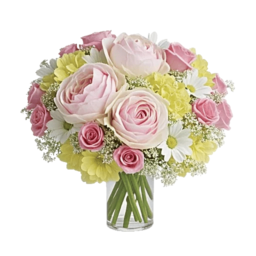 Petal Radiance Bliss