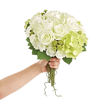 Delicate Petal Cascade