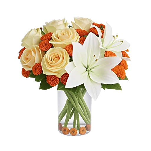 Ivory Blossom Radiance