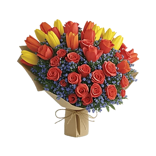 Tulip Rose Mix